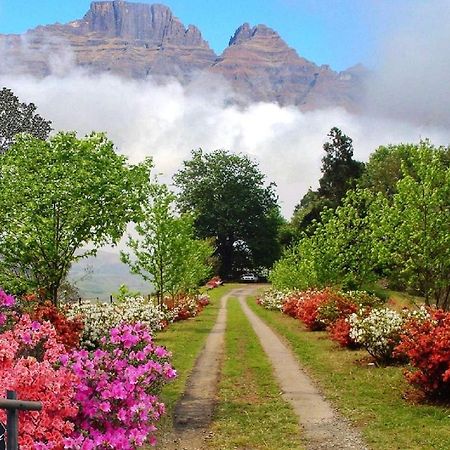 Emafweni Villa Champagne Valley Dış mekan fotoğraf