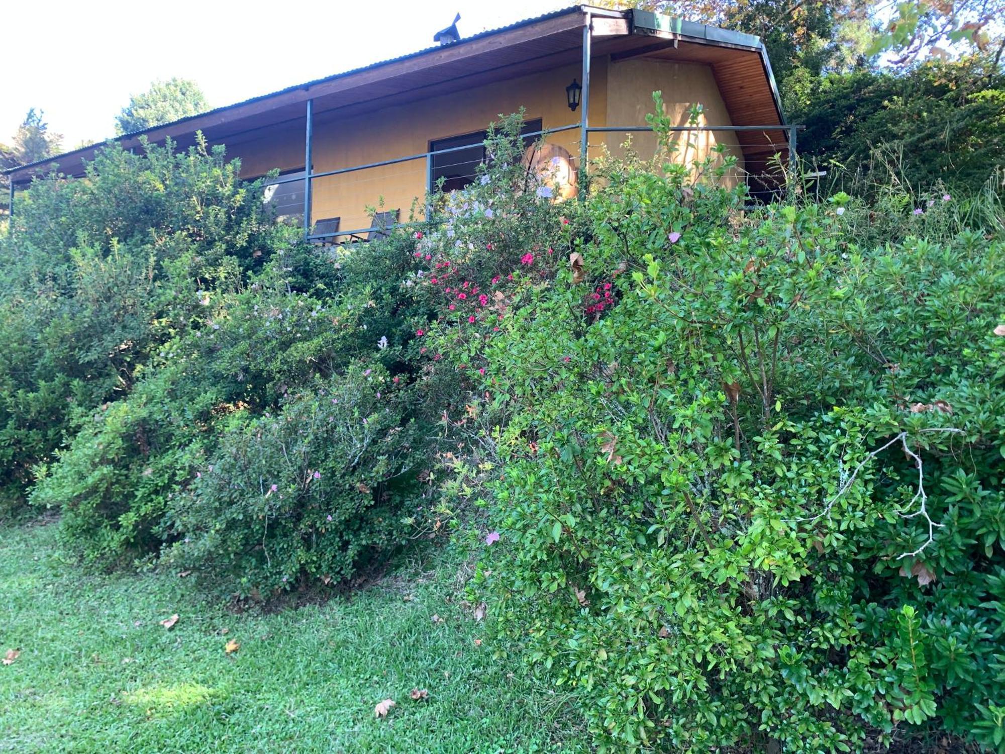 Emafweni Villa Champagne Valley Dış mekan fotoğraf