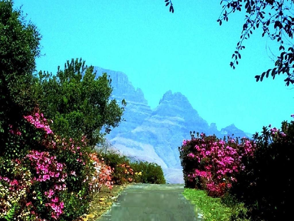 Emafweni Villa Champagne Valley Oda fotoğraf