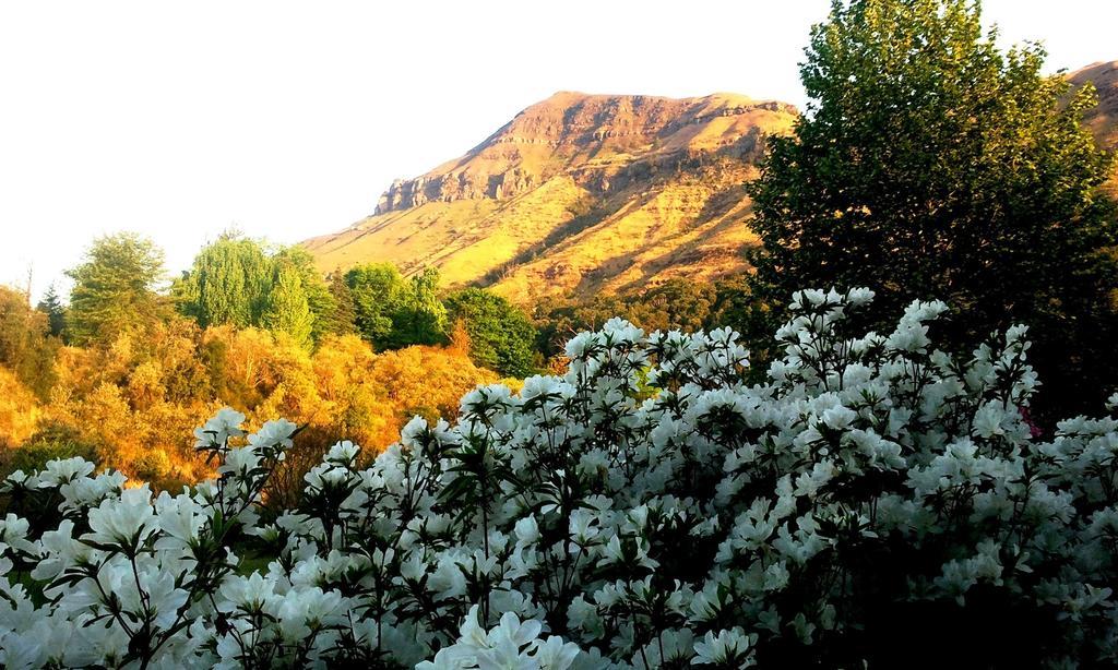Emafweni Villa Champagne Valley Dış mekan fotoğraf