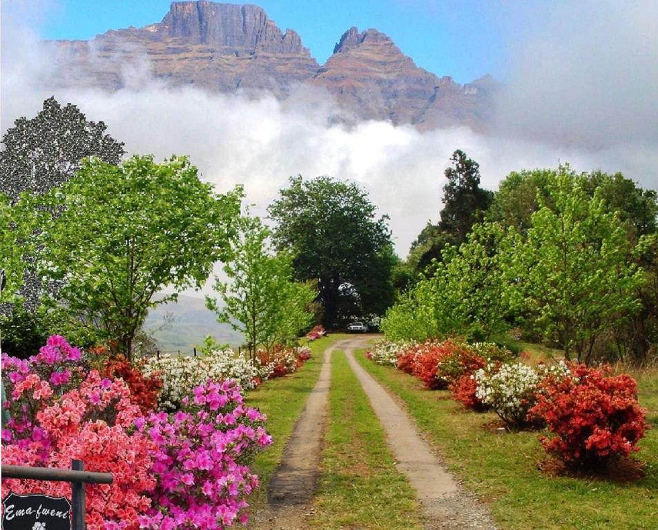 Emafweni Villa Champagne Valley Dış mekan fotoğraf