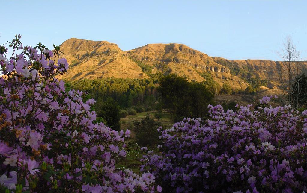 Emafweni Villa Champagne Valley Dış mekan fotoğraf