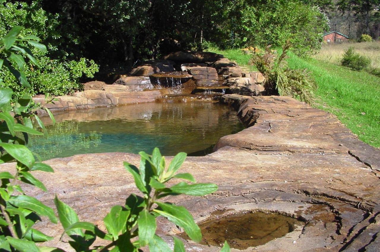 Emafweni Villa Champagne Valley Dış mekan fotoğraf